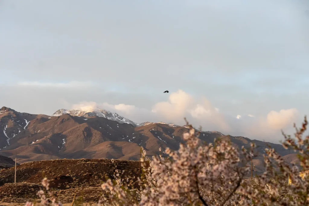 کوه و ابر